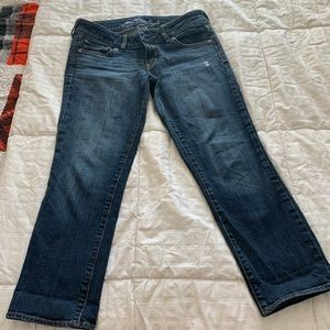 American Eagle Artist Crop